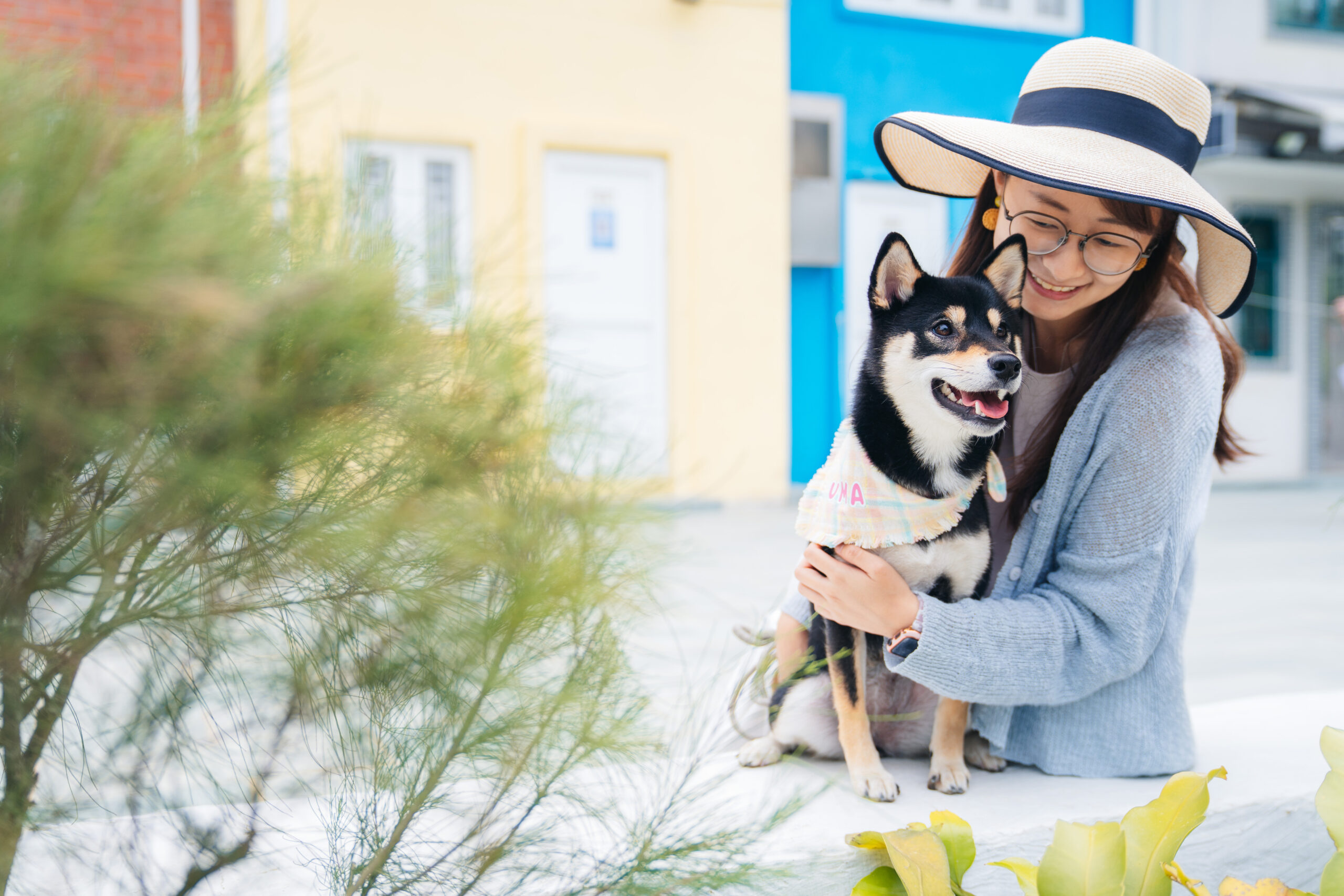 戶外寵物攝影之旅｜柴犬｜七彩小屋歐洲風情｜Petpetpet寵物攝影頻道