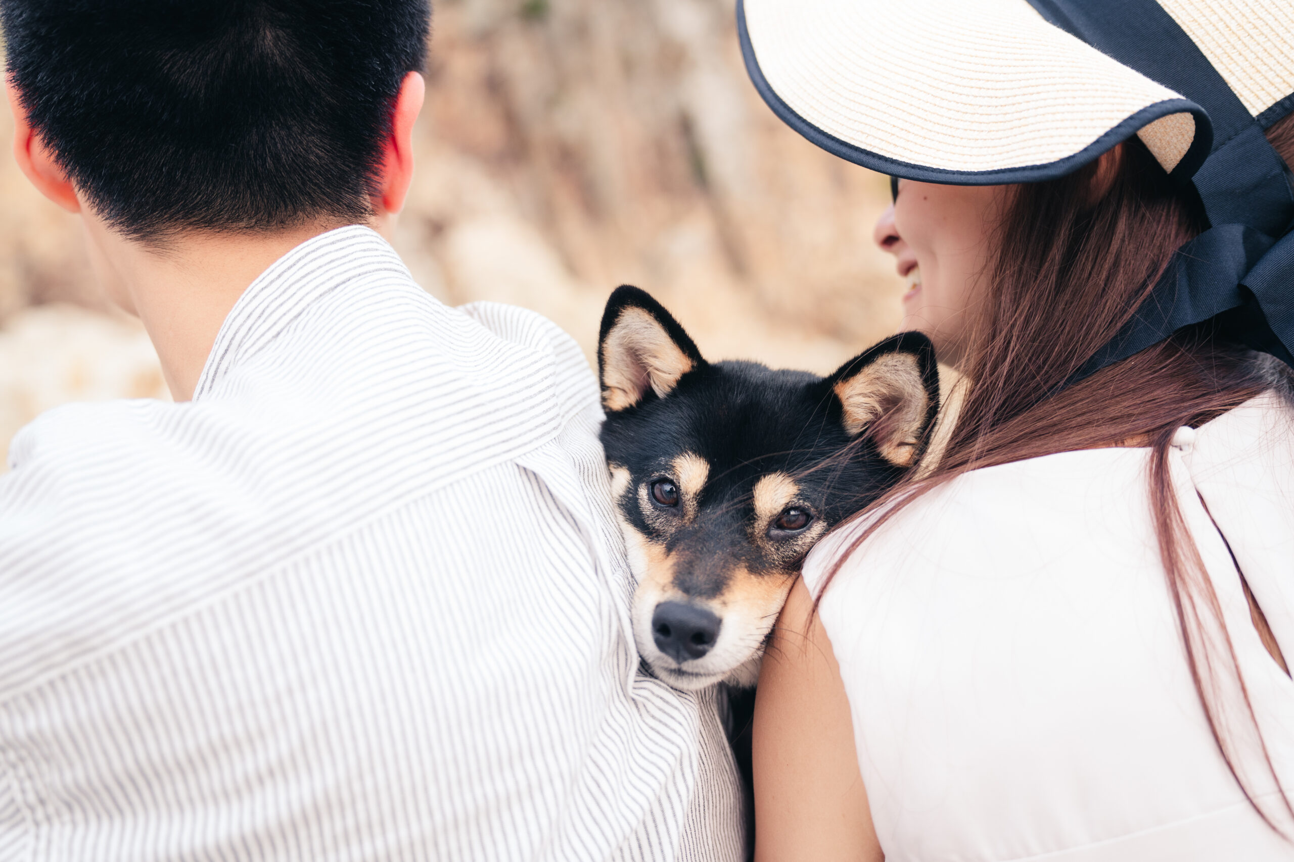 戶外寵物攝影之旅｜柴犬｜七彩小屋歐洲風情｜Petpetpet寵物攝影頻道