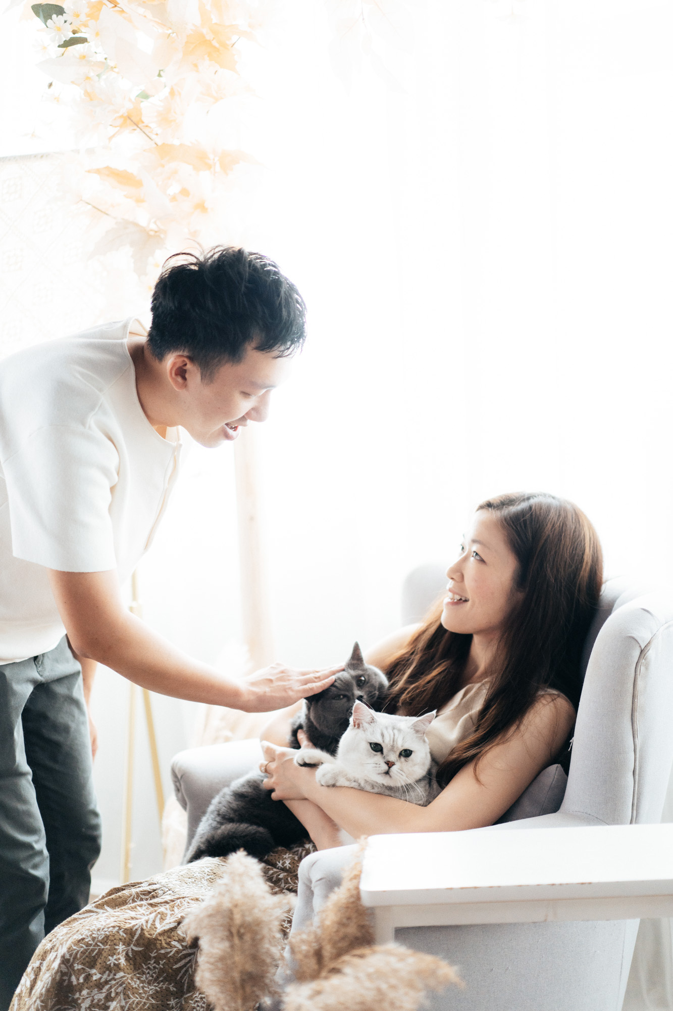 我地年尾結婚啦～｜英短｜寵物攝影Studio｜Petpetpet寵物攝影頻道