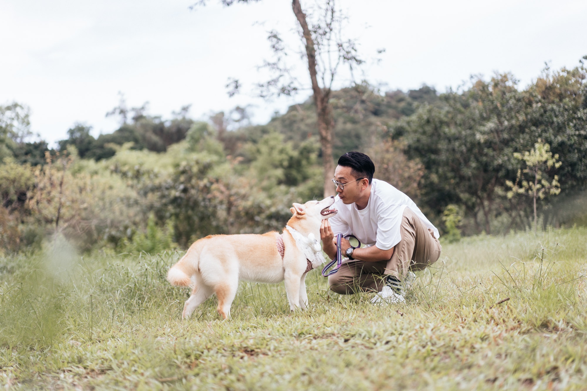 人生大事點少得您｜柴犬｜寵物婚紗攝影｜Petpetpet寵物攝影頻道